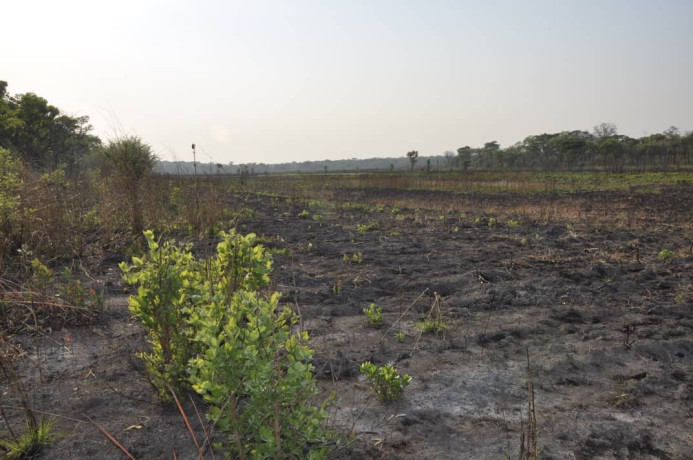111-hectares-of-farm-land-for-sale-in-nasanga-project-big-7