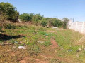 prime-plot-for-sale-in-chalala-small-0