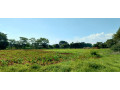 5-acre-land-for-sale-in-ibex-hill-small-1