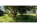 5-acre-land-for-sale-in-ibex-hill-small-5