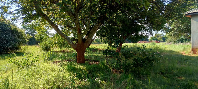 5-acre-land-for-sale-in-ibex-hill-big-5