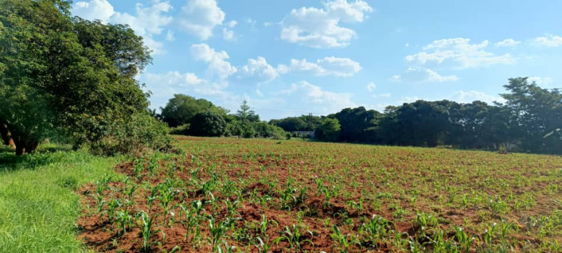5-acre-land-for-sale-in-ibex-hill-big-2