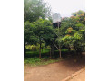 9-acres-farm-for-sale-in-shimabala-small-4