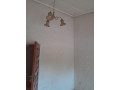 5-bedroom-house-for-rent-in-roma-small-7