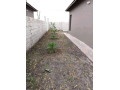 3-bedroom-house-for-rent-in-new-kasama-small-3