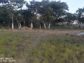 land-for-sale-in-ibex-hill-small-2