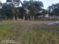 land-for-sale-in-ibex-hill-small-0