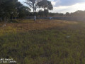 land-for-sale-in-ibex-hill-small-1