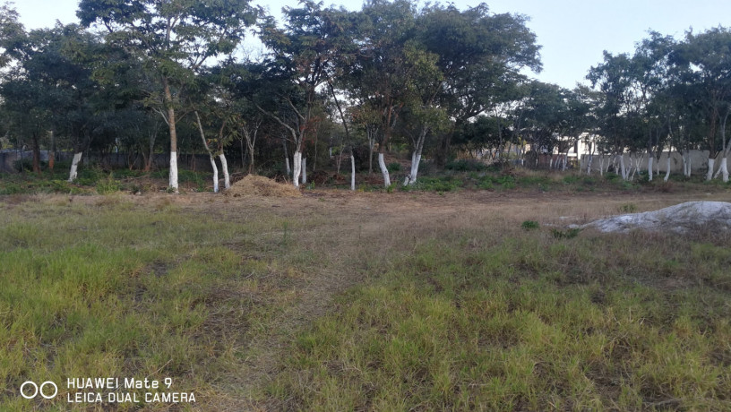 land-for-sale-in-ibex-hill-big-2