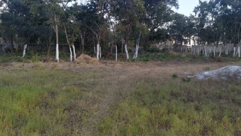 land-for-sale-in-ibex-hill-big-0