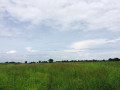 1510-acres-of-virgin-land-for-farming-small-0