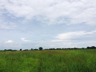 1510-acres-of-virgin-land-for-farming