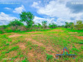 1-acre-plots-for-sale-off-lusaka-west-small-6