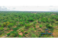 1-acre-plots-for-sale-off-lusaka-west-small-8