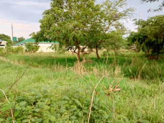 land-for-sale-in-ibex-meanwood