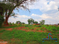 10-acre-farm-for-sale-in-makeni-small-1