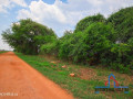 10-acre-farm-for-sale-in-makeni-small-4