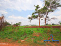 10-acre-farm-for-sale-in-makeni-small-3