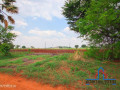 10-acre-farm-for-sale-in-makeni-small-2