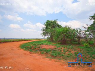 10 Acre Farm For Sale in Makeni