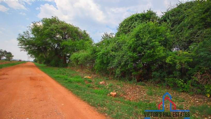 10-acre-farm-for-sale-in-makeni-big-4