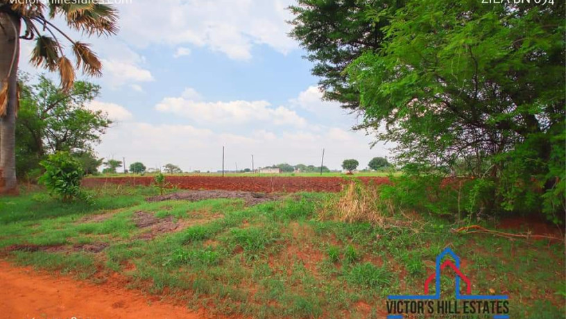 10-acre-farm-for-sale-in-makeni-big-2