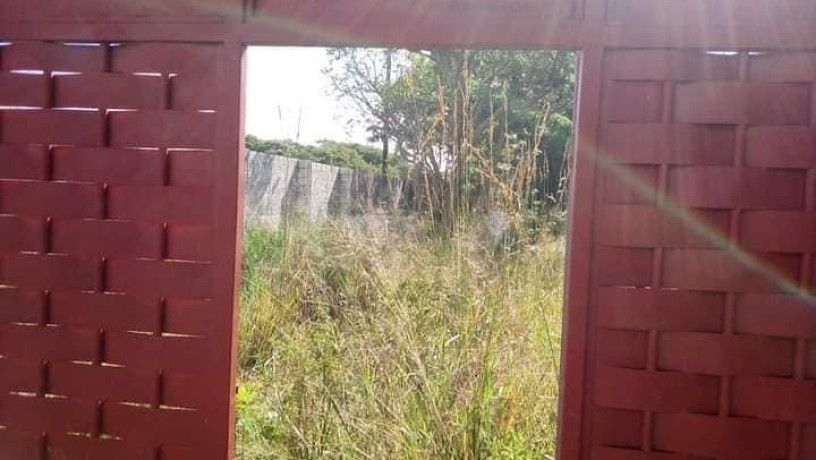 65m-by-40m-plot-for-sale-in-ibex-hill-big-4