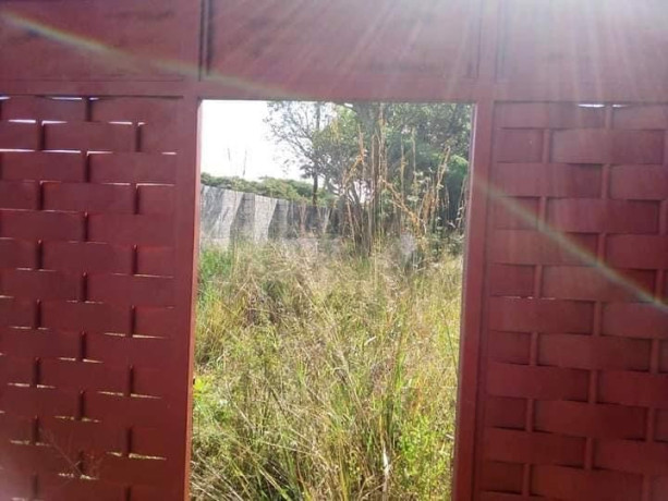 65m-by-40m-plot-for-sale-in-ibex-hill-big-4