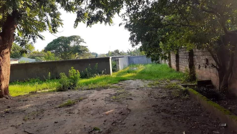 1-acre-plot-for-sale-in-kalundu-big-4