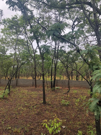 1-acre-plot-for-sale-in-new-kasama-big-1