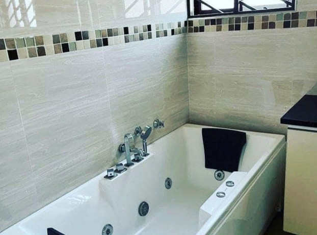 4-bedroom-house-for-rent-in-roma-park-big-7