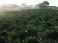 13-hectares-of-farm-land-for-sale-in-ndola-small-7