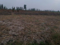 bare-residential-plot-in-bata-area-kafue-small-4