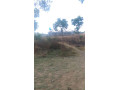 residential-plots-for-sale-in-makeni-west-small-2