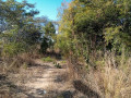 125-acres-land-for-sale-in-chongwe-small-3