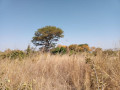 125-acres-land-for-sale-in-chongwe-small-2