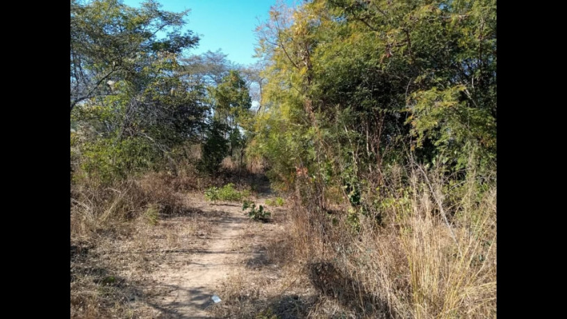 125-acres-land-for-sale-in-chongwe-big-3