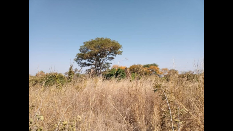 125-acres-land-for-sale-in-chongwe-big-2