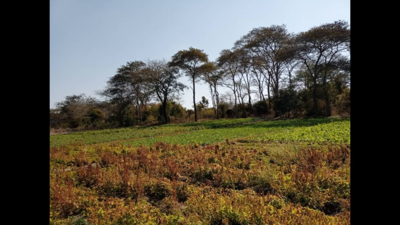 125-acres-land-for-sale-in-chongwe-big-0