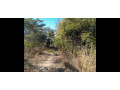 125-acres-land-for-sale-in-chongwe-small-3