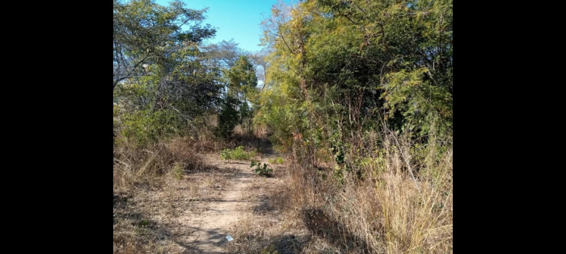 125-acres-land-for-sale-in-chongwe-big-3