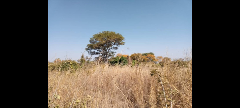 125-acres-land-for-sale-in-chongwe-big-2