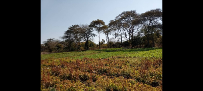 125-acres-land-for-sale-in-chongwe-big-0