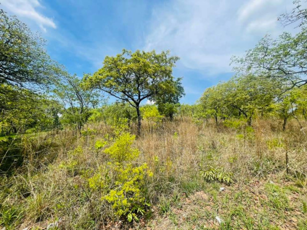 land-for-sale-in-state-lodge-big-5