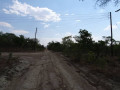 56-acres-land-for-sale-in-shimabala-small-3