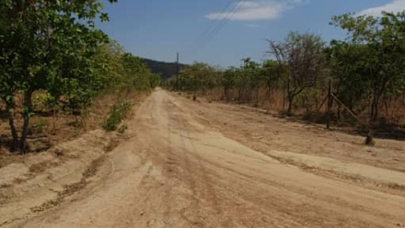 56-acres-land-for-sale-in-shimabala-big-0