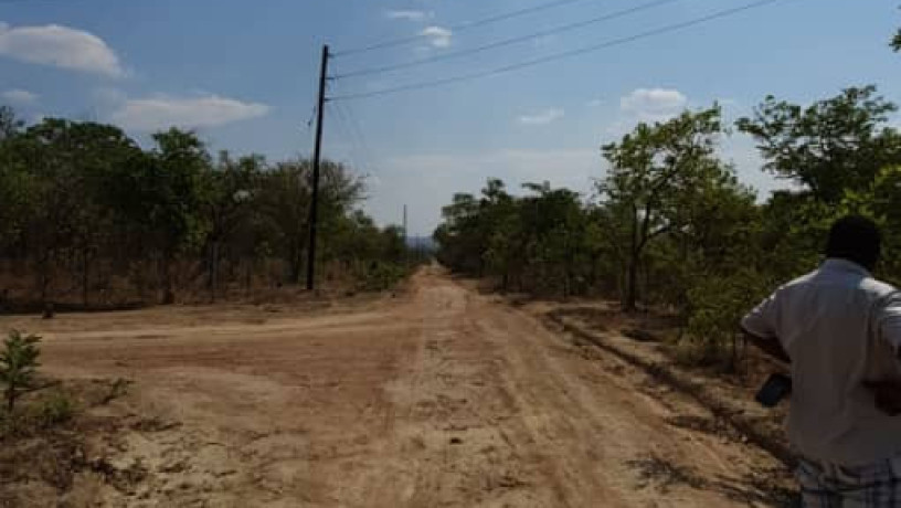 56-acres-land-for-sale-in-shimabala-big-5