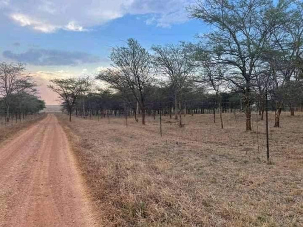 5-acres-land-for-sale-in-lilayi-big-4