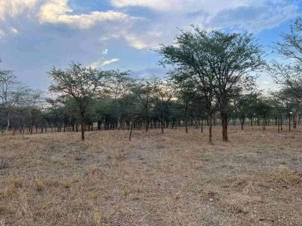 5-acres-land-for-sale-in-lilayi-big-3