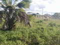 40m-by-50m-plot-for-sale-in-silverest-small-1